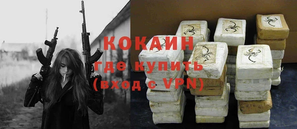 прущие грибы Пестово