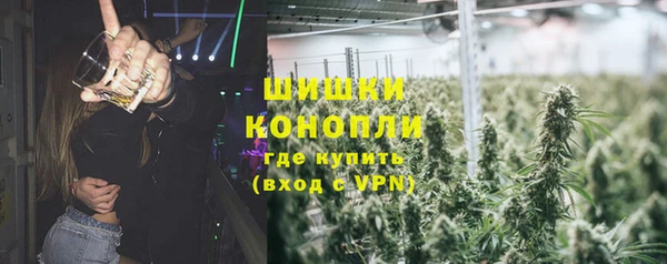 прущие грибы Пестово