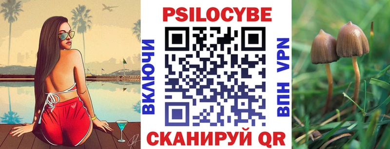 omg tor  Углегорск  Галлюциногенные грибы ЛСД 